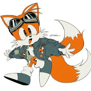 Meet your Posher, Sunny